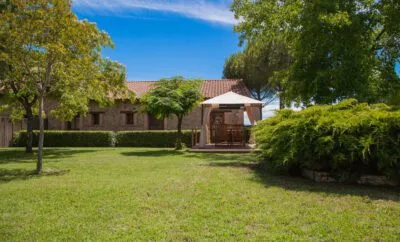LA SAYUELA RABILARGO