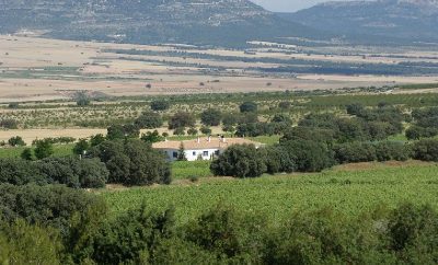 FINCA EL ROMERAL