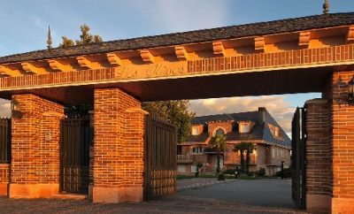 LOS OLIVOS