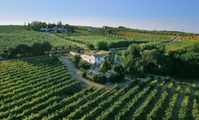 FINCA BUYTRON