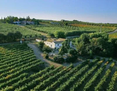 FINCA BUYTRON