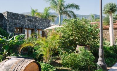 EL PATIO DE TITA