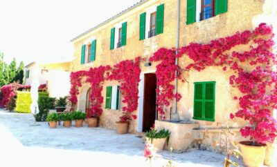 HOTEL SON CAPELLOT