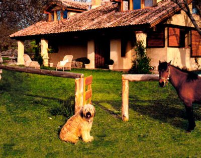 LAS CASAS DEL PALOMAR I y II