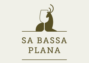 HOTEL RURAL SA BASSA PLANA