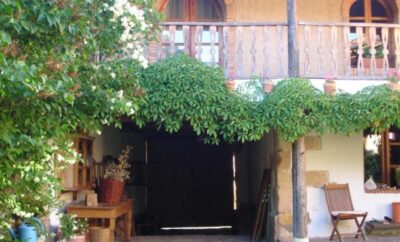 EL CANTO DEL GALLO