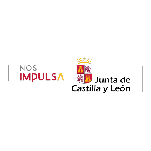 Junta de Castilla y León